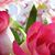 Brenda Noeltner's profile image