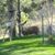 Susan Salverson-Jaeger's profile image