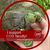 Bonniejean Alford's profile image