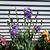 Nannette Neerhof's profile image