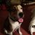 Jody Sparks's profile image