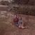 Cheryl Samelson Skid's profile image