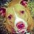 Amy Dunlavey's profile image