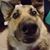 Sarah Jones's profile image