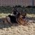 Sandi Abhold's profile image