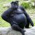 Cody Coulter's profile image