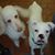 Julie Townes's profile image
