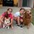 Tammy Townsend Brynildsen's profile image