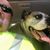 Karl Krein's profile image