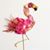 Paula DePuma's profile image