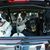 Vicki Quintard's profile image