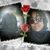 Tae Tae Cece Wilson's profile image