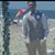 Jose Martinez's profile image