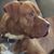 Dean G. Richards's profile image