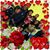 Mar La Richardson's profile image