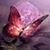 Violet Triska's profile image
