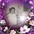 Melissa Stooksbury's profile image