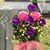Tammy Margaret Labiche Henley's profile image