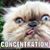 Sally Martin's profile image
