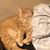 Linda Birch Williams's profile image