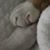 Julie Young Poincelet's profile image