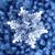 Nan Jacobs's profile image