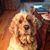Connie Randall's profile image
