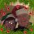 Wendy Wittman's profile image