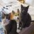 Cheryl Prince Seavey's profile image