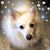 Tammy Spencer-Duncan's profile image