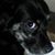 Julie Rindfleisch's profile image