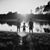 Aliana Hunt's profile image