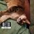 Sue Willman's profile image