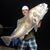 Rhett Buhler's profile image