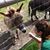 Donagh Marie's profile image
