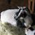 Robin Tupper's profile image
