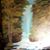 Brenda Nance's profile image