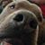Mandy Saunders Adams's profile image