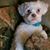 Erroll Tibbetts's profile image