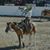 Emiliano Mercado Campos's profile image