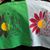 Susan Pearson Rose's profile image