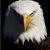 Americo Delgado's profile image