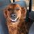Amy Lou's profile image