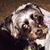 Melissa Shaw's profile image
