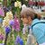 Norine Sultana-McCall's profile image