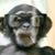 Daniel R Sella's profile image