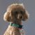Jolane Zoe Meinke Brown's profile image
