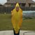 Connie Ward's profile image