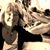 Holly Detmers Berlepsch's profile image