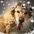 Becky Kirkendall's profile image